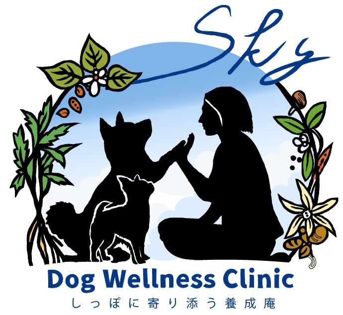 SKY Dog Wellness Clinic｜犬の東洋医学・鍼灸往診（大阪）